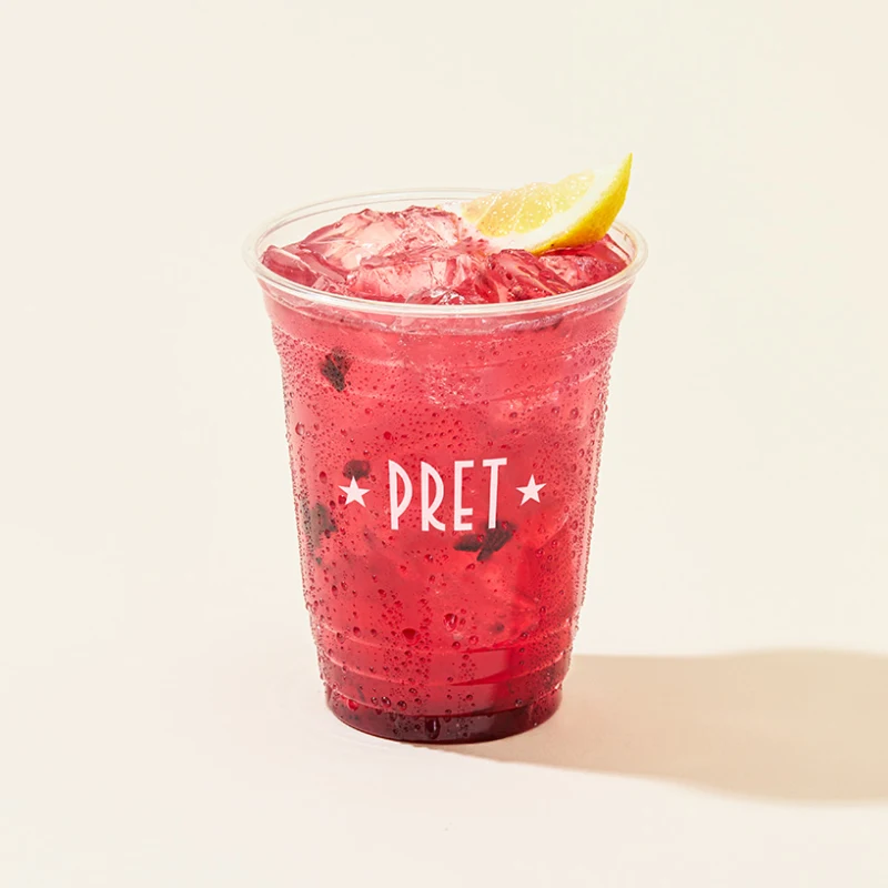 US005233 Blueberry Lemonade
