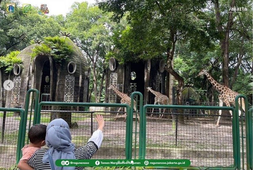 Cara Daftar Online Kebun Binatang Ragunan Jakarta