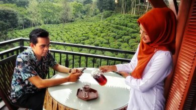 Wisata Agro Wonosari Lawang Destinasi Pengolahan di Kebun Teh di Malang. IG @wisataagrowonosari